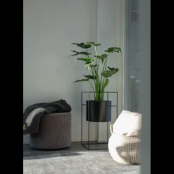 Asir Kurv sæt med 2 stk