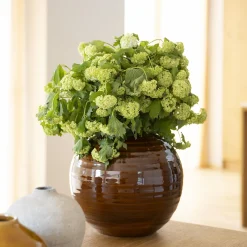 Eliin Vase 32 x 33 cm