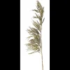 Pampas Kunstig plante 125 cm