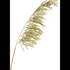 Pampas Kunstig plante 125 cm