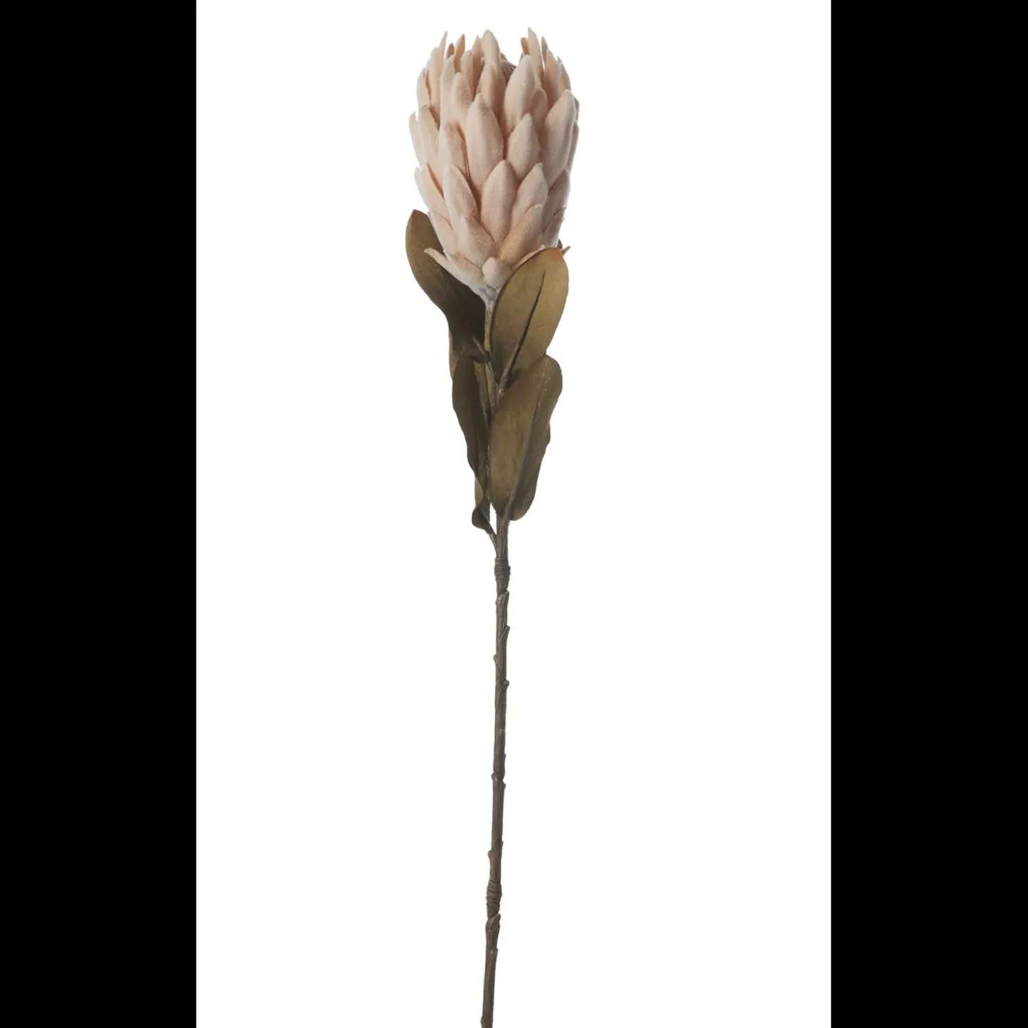 Protea Kunstig plante 62 cm