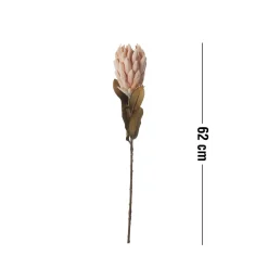 Protea Kunstig plante 62 cm