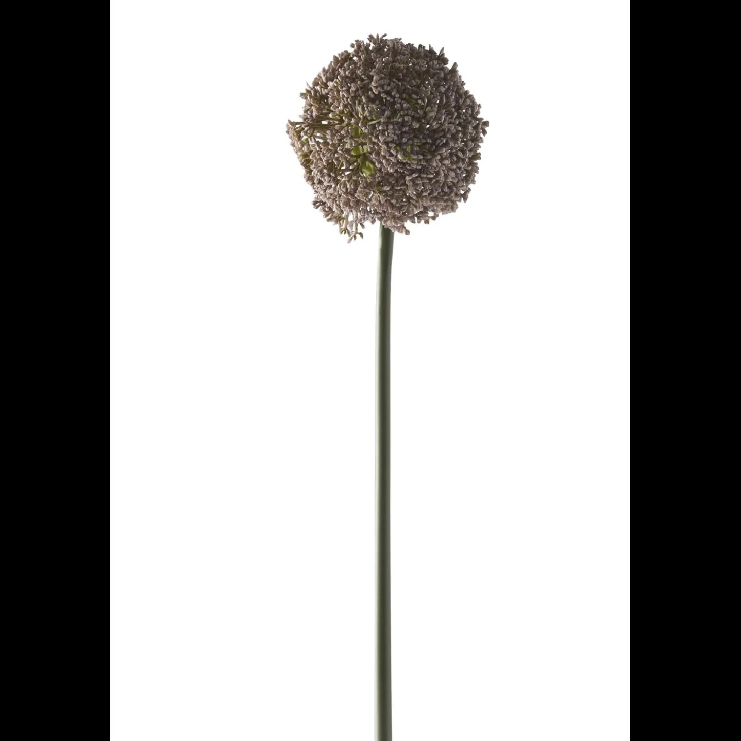 Prydløg Kunstig plante 74 x 11 cm