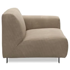 Vesta Endemodul
