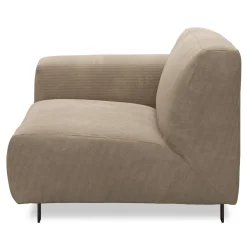 Vesta Endemodul